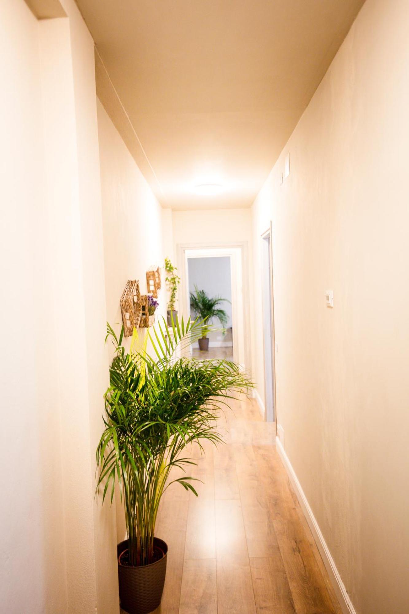 Guest House Nonna Rosa Vercelli Zewnętrze zdjęcie